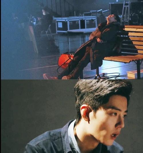 圈内肖战爆料是真的吗,圈内热议真相揭晓